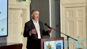 AI has saved the health services over &lsquo;a million hours&rsquo;, says HSE boss