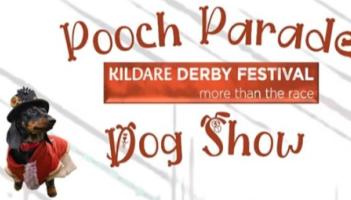Calling all dogs to the inaugural Kildare Derby Festival Pooch Parade