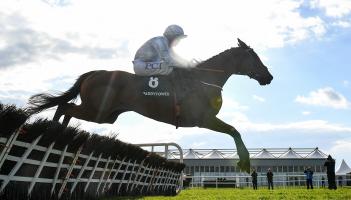 PUNCHESTOWN TIPS: The best bets for Day 4 of Punchestown 2022 - Friday, April 29