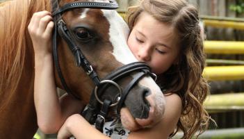 Horseriding trails could be opened on State-owned lands in Kildare