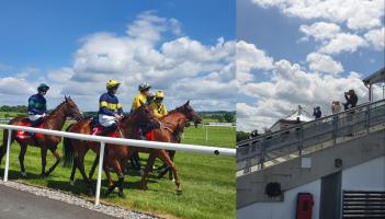 Kildare Local Elections: Election race at Punchestown joined by busy day of horse racing
