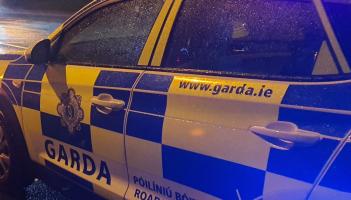 Kildare gardai seek witnesses after boy, 16, is killed in late-night hit-and-run
