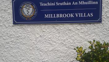 Only minor work needs to be done on huge Kildare trees