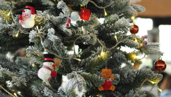 Food and gifts galore: Free Christmas market coming soon to garden centre near Kildare border