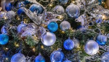 Free Christmas tree recycling in Kildare