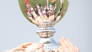 South Kildare's successful sporting year &lsquo;should be recognised&rsquo;