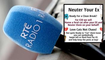 RT&Eacute; Liveline listeners in stitches over viral Valentine's 'Neuter Your Ex' charity stunt