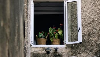 Burglar gained entry to Kildare home through open window, garda says