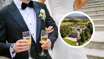 Owners of famous Kildare property plan to build stunning 'wedding village' venue