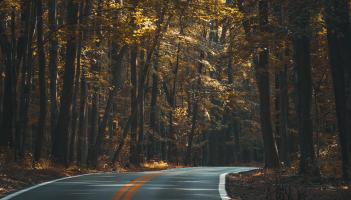 Almost &euro;26m investment in regional and national roads across&nbsp;Kildare and new bridge for Newbridge &ndash; senator