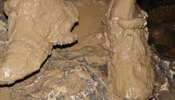 Bus stop between Newbridge and Naas is &lsquo;a mud bath&rsquo;, Kildare County Council is told