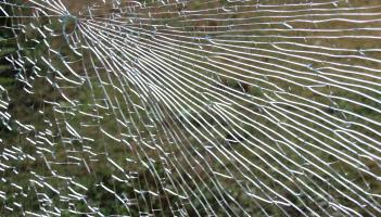 Sum of cash stolen from Newbridge property, Kildare