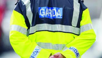 Kildare garda&iacute; investigating after man was assaulted in front of child in broad daylight