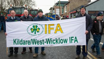 GALLERY: IFA protest at Minister Martin Heydon's office in Newbridge 