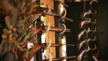 Shotguns, bolt-action rifles and cash stolen from Kildare residence