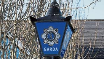 Woman arrested in Kildare in connection to alleged theft incident
