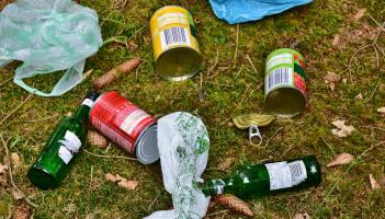 'Idiots': Litter dumpers criticised at Kildare County Council meeting