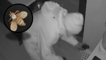 CCTV shows three intruders rifling through drawers in Kildare home burglary