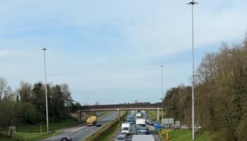 BREAKING: Traffic chaos on Kildare motorway as vehicles come to a halt