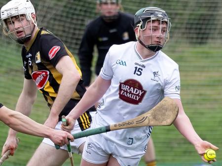 Kildare U20 hurling side named to take on Galway