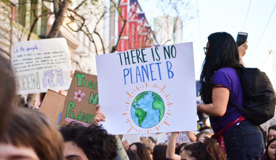 REVEALED: Irish people say climate change will influence how they vote in upcoming elections