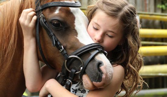 Horseriding trails could be opened on State-owned lands in Kildare