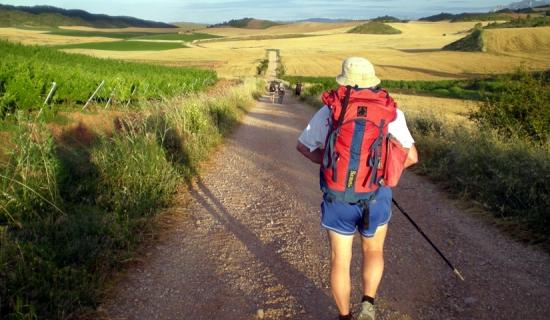 Kildare could have its own camino