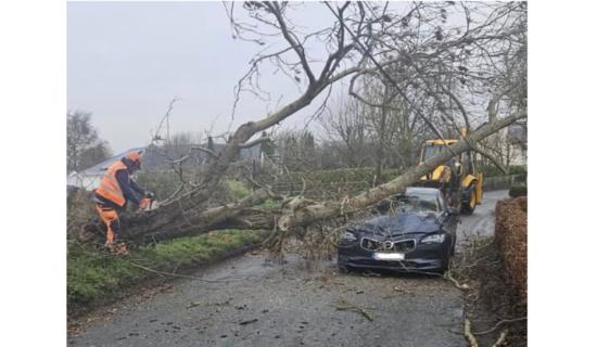 LIVE: driver has miraculous escape as tree falls on car during Storm Bram
