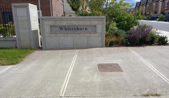 Pedestrian crossing is needed on this busy Kildare road