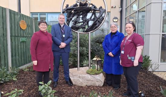 New memorial to Covid-19 unveiled in Kildare