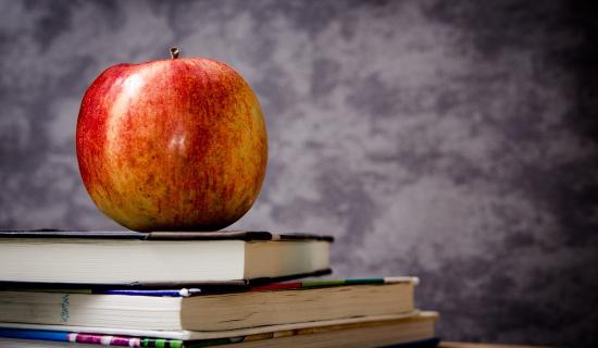 Concern that SNA crisis could hit Kildare