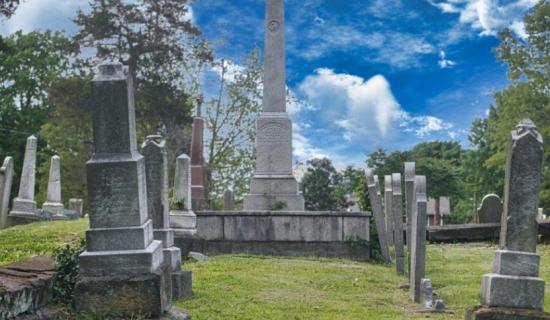Concern that sightlines near Kildare church's graveyard are being obscured