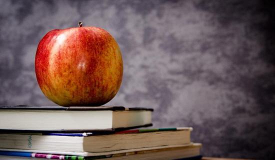 Brand-new special school due for this Kildare town