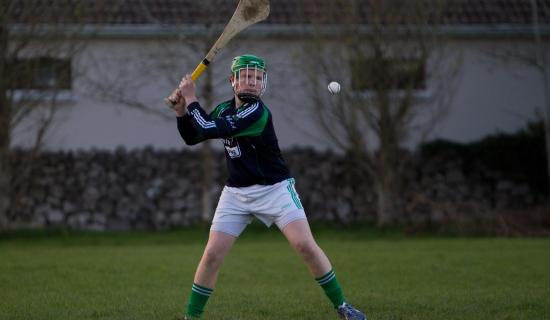 Garda appeal over criminal damage to Kildare GAA grounds