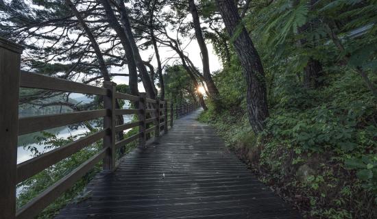 Calls for nature/biodiversity trail in this Kildare estate