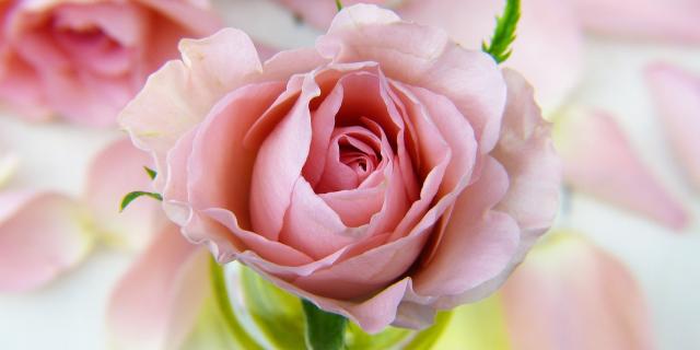 Kildare Death Notices for today: Wednesday, February 18 2026