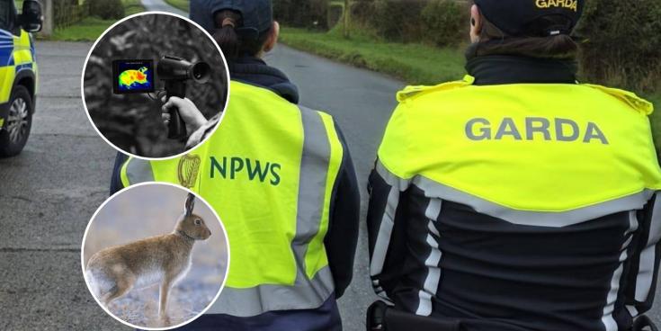 LONG READ: Inside the 'seasonal scourge' terrorising rural landowners across Kildare