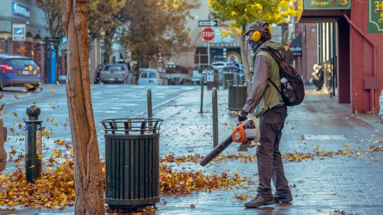 Kildare residents told to do more to get rid of falling leaves