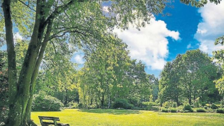 Criticism over lack of toilet facilities at popular park in Kildare
