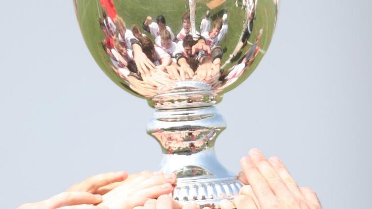 South Kildare's successful sporting year &lsquo;should be recognised&rsquo;