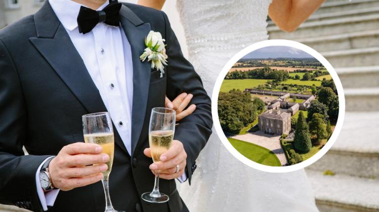 Owners of famous Kildare property plan to build stunning 'wedding village' venue