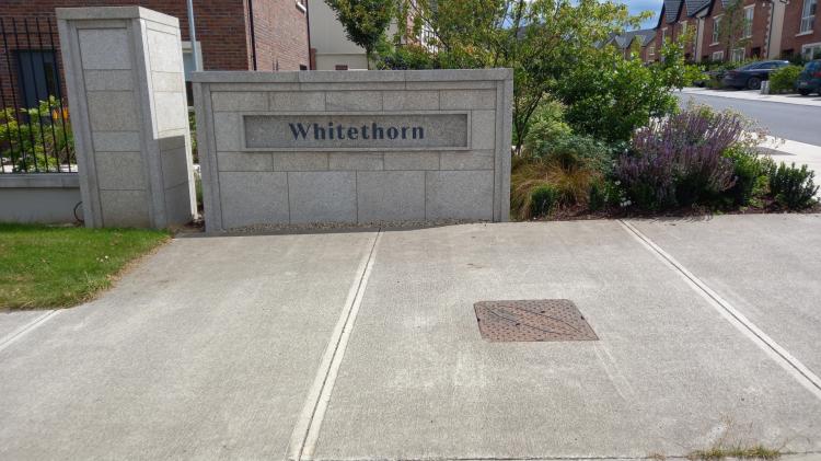 Pedestrian crossing is needed on this busy Kildare road