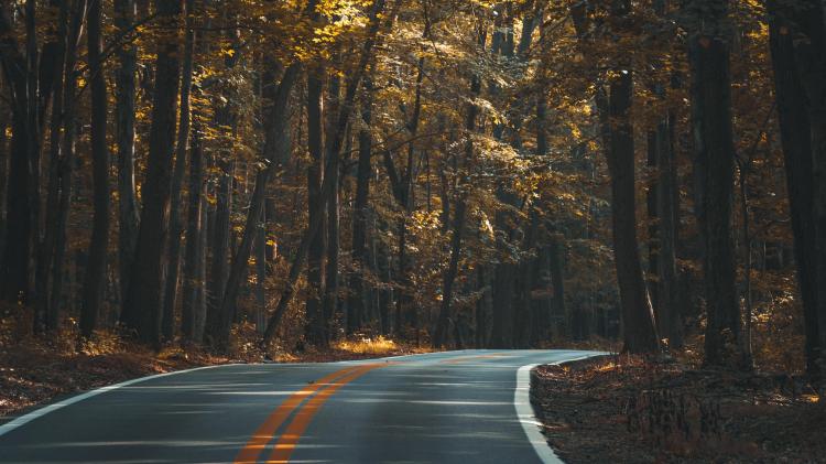 Almost &euro;26m investment in regional and national roads across&nbsp;Kildare and new bridge for Newbridge &ndash; senator