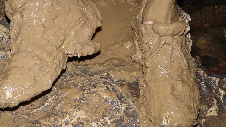 Bus stop between Newbridge and Naas is &lsquo;a mud bath&rsquo;, Kildare County Council is told