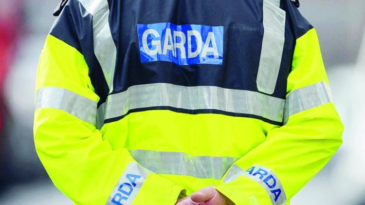 Kildare garda&iacute; investigating after man was assaulted in front of child in broad daylight