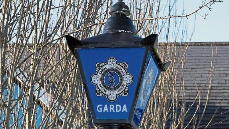 Alleged theft incident in Kildare leads to arrest