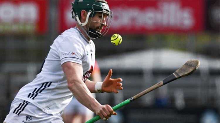 Hurlers team vs Wexford