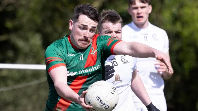 Kildare GAA: SFL and SHL results