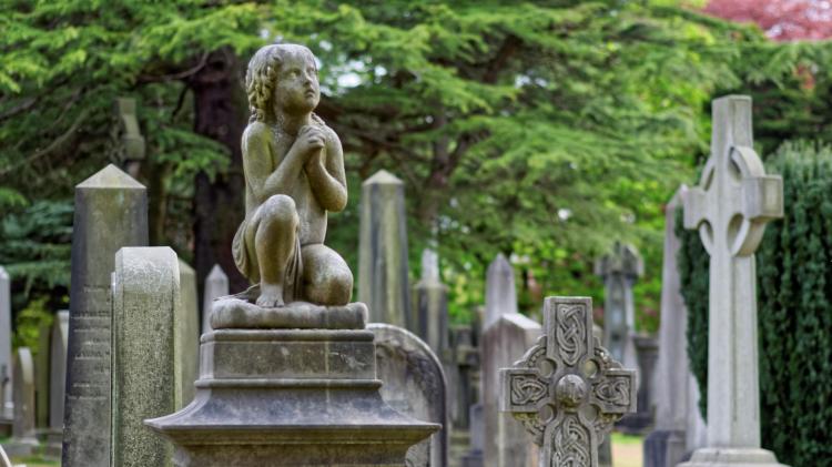 Calls for road signage at Kildare cemetery to be reviewed