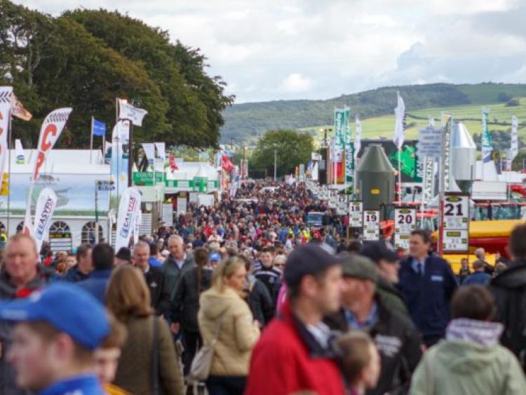 Vegetable farming business plan picture